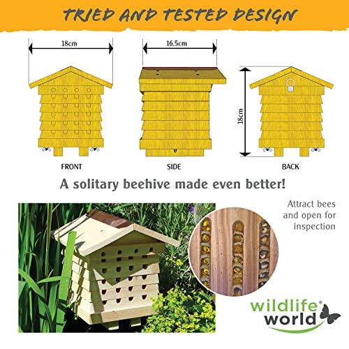 Solitary Bee Hive by Wildlife World
