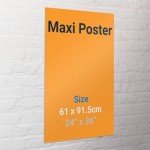 Back To The Future Poster - Regular Style - 24"x36