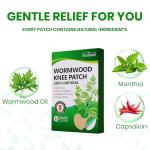 TrustKare Herbal Warming Patches for Pain Relief