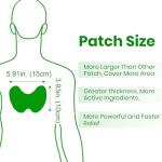 TrustKare Herbal Warming Patches for Pain Relief