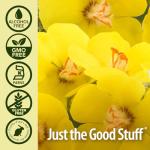 Nature's Answer Mullein Leaf Extract for Lungs
