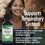 Nature's Answer Mullein Leaf Extract for Lungs