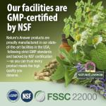 Nature's Answer Mullein Leaf Extract for Lungs