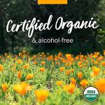 Organic Wormwood Extract for Digestive Support - 1 oz