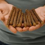 Natural Licorice Root Chew Sticks – 10 Pack