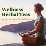 FullChea - Soursop Leaves Tea Bags, 40 Teabags - Premium Soursop Graviola Leaves - Hojas De Guanabana Tea - Non-GMO - Caffeine-free - Improve Digestion, Support Healthy Skin & Sleep