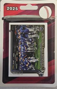 2025 Topps Baseball Team Set - Choose Your Team