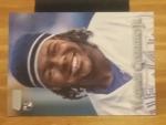 2019 Vladimir Guerrero Jr. Toronto Blue Jays RC