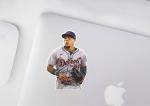 Gleyber Torres Detroit Tigers Vinyl Sticker