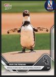 Pepe the Penguin - 2025 MLB Topps NOW® Card