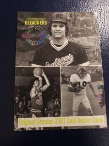 Ryne Sandberg Chicago Cubs Hall of Fame Cards