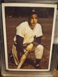 1979 Joe DiMaggio NY Yankees TCMA Card