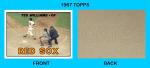 Ted Williams Custom Art Card - 1967 Red Sox
