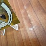 2024 Topps Archives Own The Game 1/1 Rodon