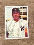 Sparky Lyle 1975 SSPC #429 Yankees Card