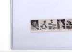 1950 R423 Complete Baseball Strip - 13 Players