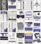 Baltimore Ravens 100 Card NFL Football Lot