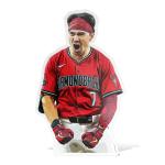 Corbin Carroll Arizona Diamondbacks Vinyl Sticker
