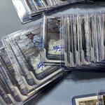 Tampa Bay Rays Alejandro Pie Rookie Card Lot