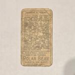 1911 T205 Cy Young Gold Border Baseball Card