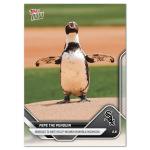2025 Topps Now MLB Pepe the Penguin Card