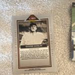 Corbin Carroll Vlad Guerrero Jr. Goose Goslin Card Lot