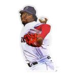 Pedro Martinez Boston Red Sox Vinyl Sticker
