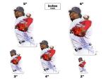 Pedro Martinez Boston Red Sox Vinyl Sticker