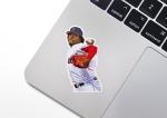 Pedro Martinez Boston Red Sox Vinyl Sticker