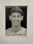 1946 Boston Red Sox Picture Pack with Ted Williams