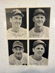 1946 Boston Red Sox Picture Pack with Ted Williams