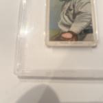 T206 Cy Young Piedmont Back Card HOF PSA 3