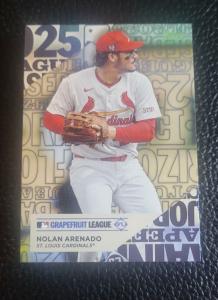 2025 Topps Grapefruit League Training Grounds Insert