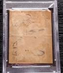 1934 Batter Up Lloyd Waner Baseball Card #157