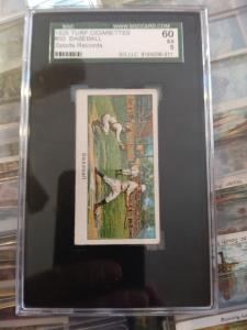 1925 Turf Cigarettes George Sisler Card SGC/PSA 5