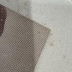 1939-46 Joe Gordon Cleveland Salutation Exhibit Cards