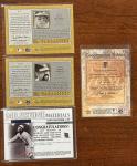 Detroit Tigers Game Used Relic Collection
