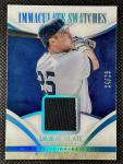 Mark Teixeira 2014 Immaculate Collection Patch /25