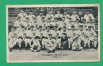 R313 NATIONAL CHICLE 1936 WHITE SOX TEAM TED LYONS LUKE APPLING HOF POOR *TPHLC