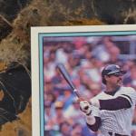 4x 1982 Donruss Reggie Jackson and Dave Winfield New York Yankees NM+