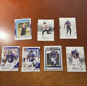 Baltimore Ravens Team Lot
