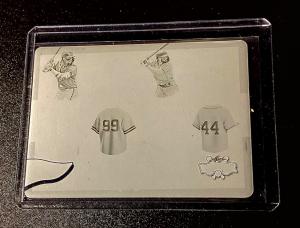 Aaron Judge 1/1 2024 Leaf Lumber Print Plate