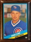 1988 Syracuse Chiefs Toronto Blue Jays Team Set