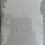 1921 Ty Cobb Exhibit Card - Rare Find