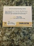 2014 Aaron Judge Charleston RiverDogs Selfie Card