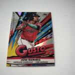 2025 Topps Finest Jose Ramirez Silver Case Hit