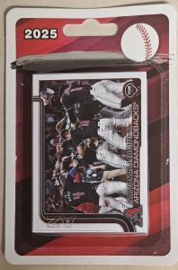 2025 Topps Baseball Team Sets - Choose Your Team