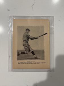 1935 Rogers Hornsby St. Louis Cardinals Photo