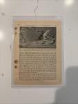 1923 Rogers Hornsby Batting Champion Sports Card