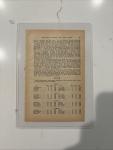 1916 Pittsburgh Pirates Honus Wagner Baseball Photo